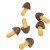 Chocorooms.jpg
